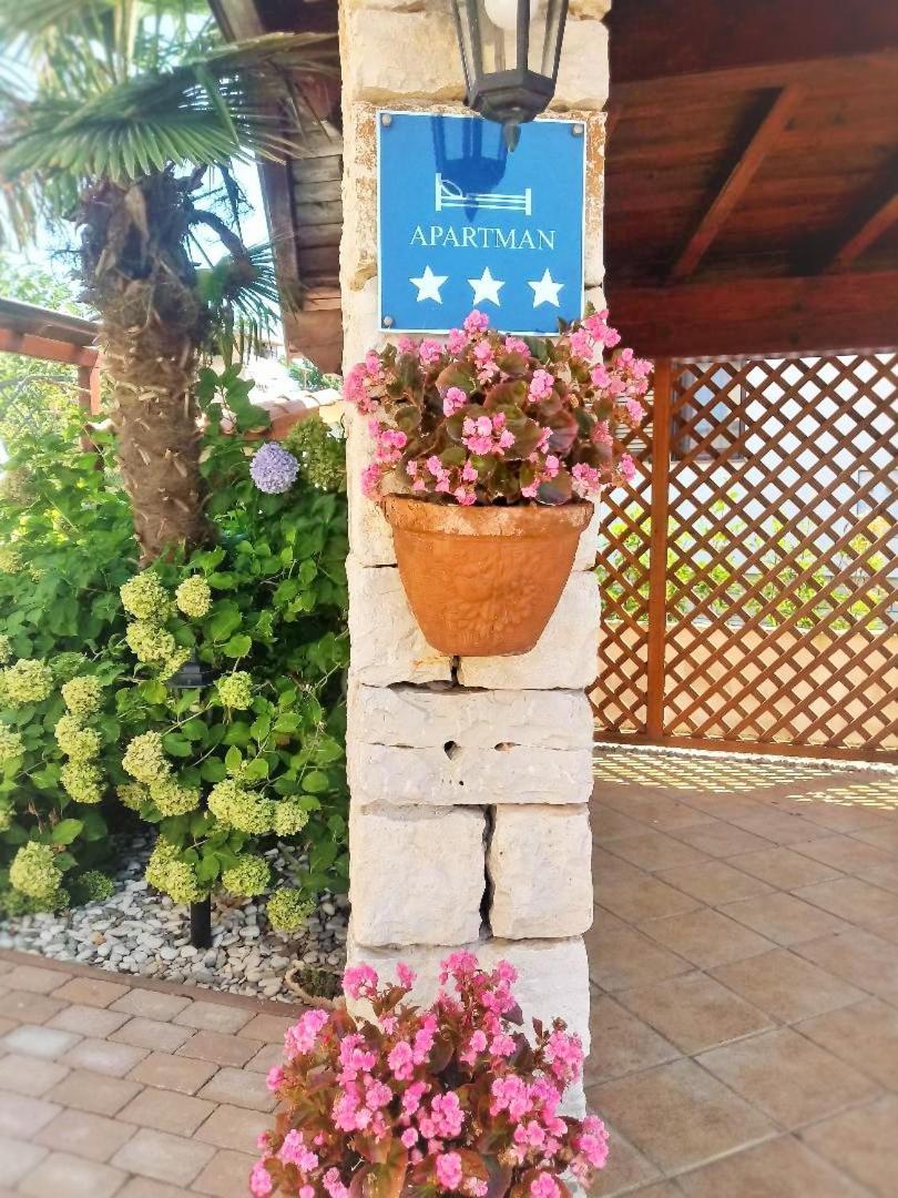Apartments Sara بالي المظهر الخارجي الصورة